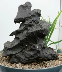Viewing stone suiseki-scholar rock Ying stone Rough Decor Rockery bonsai J279 - Picture 1 of 6