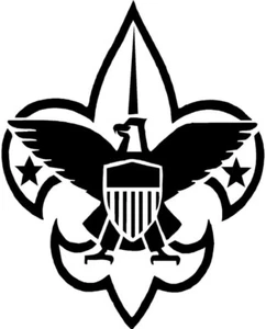 New Boy Scout Vinyl Decal for Cars Crafts Walls Cups Bottles Signs tumblers Cub - Picture 1 of 22
