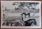 1960S Vintage Photo Hippodrome Beautiful Woman On Horse Old Photo Ussr Times
