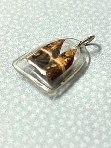 Nok Khum Bird Thai Buddha Amulet Pendant magical amulet Luck Rich Success - Bild 1 von 3