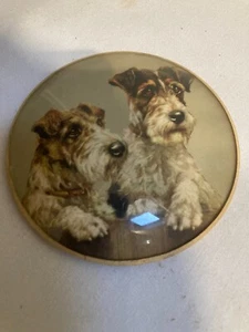Vintage Peter Watson Art Studio Hand Made Convex Bubble Glass - Terriers - Picture 1 of 3