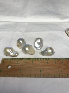 5 Riesig-Groß Kostbare echte Südsee-Zuchtperlen*23x15mm**14x20mm**21x13*17x14*.. - Bild 1 von 8