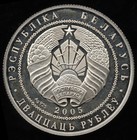 2005 Belarus 20 Rubel 2006 Fußball-WM Deutschland 925er Silber 25 g = 23 g fein