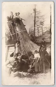 Vtg RPPC Post Card Family Posing Around & In Huge Tree Stump K42 - Picture 1 of 2