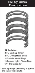 Parker Hannifin 100mm PN0100HM005 HMI Kit guarnizioni metriche pistone (Viton) - Foto 1 di 1