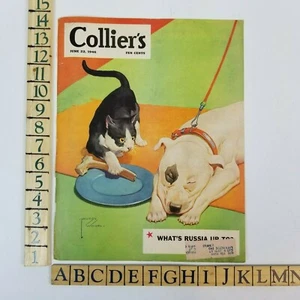 1946 Colliers June 22 Kitty Cat Stealing Dogs Bone Print Ad Cover Only - Picture 1 of 4