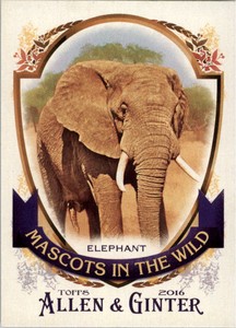 2016 Topps Allen and Ginter Mascots in the Wild #MIW8 Elephant - NM-MT