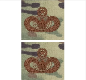 GENUINE U.S. AIR FORCE EMBROIDERED BADGE: FORCE PROTECTION: MASTER - OCP - Picture 1 of 1