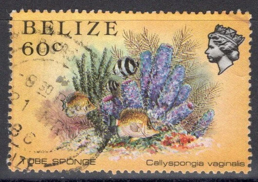 BELICE SC #709 USADO 1984 vida marina "tubo esponja" Foto 1 de 1