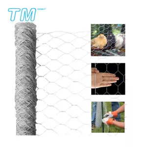 2" Galvanized Steel Poultry Net - Metal Mesh Fencing / Chicken Wire 50/150FT - Picture 1 of 7