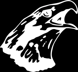 Eagle #3 Mascot 1 Color Window Wall Vinyl Decal Sticker Printed Graphic - Picture 1 of 5