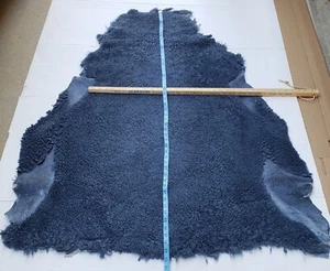 SHEEPSKIN PELT--Light Blue color, short wool - Picture 1 of 2