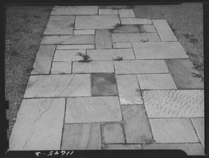 Photo:Texture background for motion picture and filmstrip. Flagstone walk - Picture 1 of 1