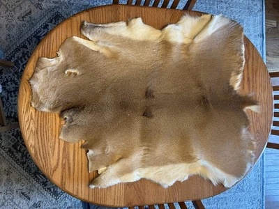 Alfombra suave de piel de ciervo con pelo de piel de ciervo grande decoración de cabina artesanía  Foto 1 de 4