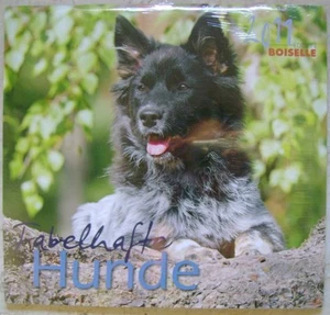 Calendario 2011 Fabelhafte Hunde Cani Edition Boiselle - Picture 1 of 2