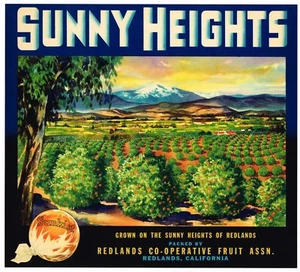ORIGINAL ORANGE CRATE LABEL SUNNY HEIGHTS REDLANDS ORCHARD SCENE 1940S VINTAGE - Picture 1 of 1