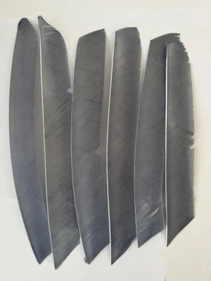 50X Full Length Arrow Feathers Turkey Fletches Archery DIY Right Left Wings - Image 1 of 4