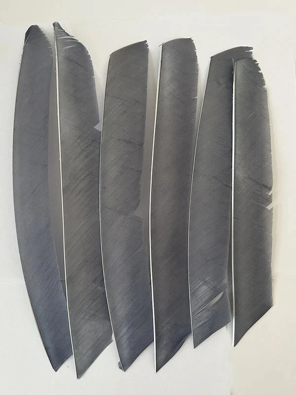50X Full Length Arrow Feathers Turkey Fletches Archery DIY Right Left Wings - Image 1 of 4