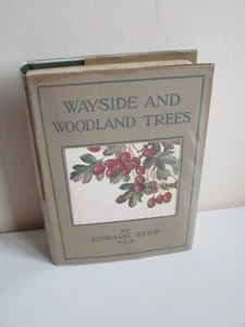 1948 Edward Step WAYSIDE AND WOODLAND TREES Guide to the British Sylva HB D/J - Picture 1 of 19