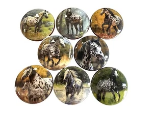Western Cabinet Knobs Set of 8 Appaloosa Horse Wood Cabinet Knobs Drawer Pulls, - Picture 1 of 3