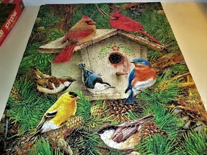 Vintage 1000 piece SPRINGBOK Bird House, Birds puzzle 30"x24" - Picture 1 of 1