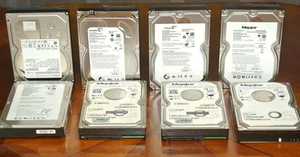 Disco duro SEAGATE Hitachi WD Western Digital MAXTOR PATA SATA serie ATA - Imagen 1 de 9
