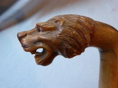 Canne ancienne XIXe pommeau corne tête de lion sculptée sculpture animalière - Photo 1/4