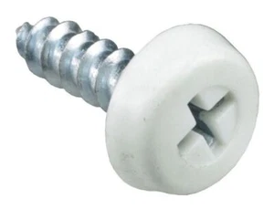 DBG 3/4" Plastic Head PZ Self Tapping Screw Number Plate Fixing - White - Pac... - Picture 1 of 1