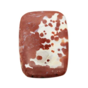 Ozeanjaspis 30X22X6 mm CAB Cabochon ZB004008 - Bild 1 von 5