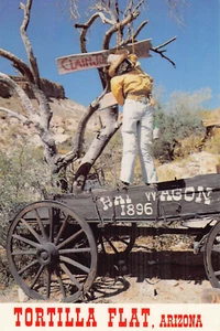 Postkarte AZ: Hängender Baum, Tortilla flach, Arizona, Chrom, unverpostet 4x6 - Bild 1 von 2