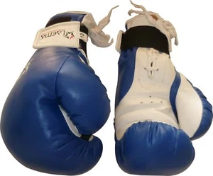 5 X 10oz Performance BOXING Bag Sparring MMA Gloves Mitts Punch BULK CLEARANCE - Picture 1 of 7