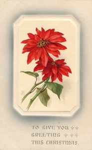 To Give You Greetings Weihnachten Weihnachtsstern Postkarte elegant höchste Auszeichnung  - Bild 1 von 2