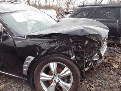 Trunk/Hatch/Tailgate Thru 10/10 Fits 09-11 INFINITI FX SERIES 446363 Foto 1 de 4