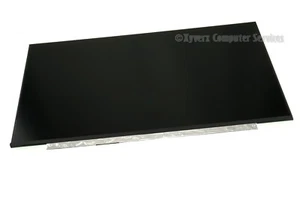 8TV4Y N173HCE-G33 REV.C2 GENUINE DELL LCD 17.3 FHD ALIENWARE M17 R2 P41E (AF81) - Picture 1 of 5