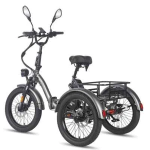 FAFREES F20 Mate Elektro-Dreirad Cargo 500W 48V 21AH 3 Rädern E-Fahrrad Tricycle - Bild 1 von 14