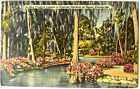 Cypress Gardens Florida FL Azalea Fringed Lagoon Linen Postcard UNP c1951