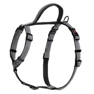 HALTI Walking Harness - Picture 1 of 20