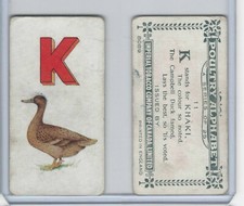C28 Imperial Tobacco, Poultry Alphabet, 1924, #11 Khaki Duck