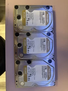 Western Digital WD Gold 1TB 3.5" SATA Data Center Hard Disk Drive WD1005FBYZ - Picture 1 of 2