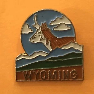 U.S. State Pin - Wyoming - Picture 1 of 3