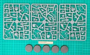 VANARI AURALAN SENTINELLE x 5 Lumineth Realm-lords Warhammer U9 - Foto 1 di 1