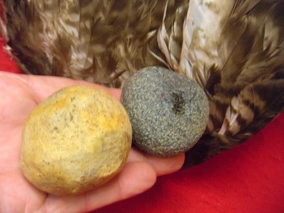 PIEDRA DE MARTILLO DE CUARZO Y DISCOIDAL ROTO - ENCONTRADO DALTONMAN - ARKANSAS ARCANO DE ARCILLA Foto 1 de 4