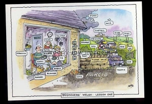 BES101 - Anfänger Walisisch Lektion 1 - Besley Comic Postkarte - Bild 1 von 1