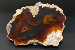 Condor agate collector specimen  - Picture 1 of 4