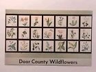 Pocztówka Wildflowers of Door County Wisconsin