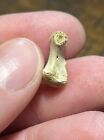 Excellent Reptile Bone Dinosaur Age Fossil Hell Creek Formation MT