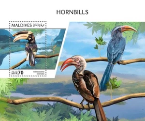 Hornbills Birds MNH Stamps 2018 Maldives S/S - Picture 1 of 1