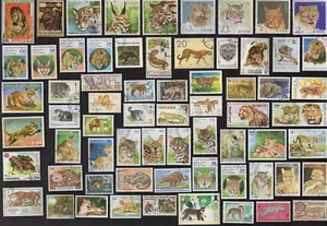 100 BIG &  WILD CATSAll Different Stamps (C78) - Picture 1 of 2