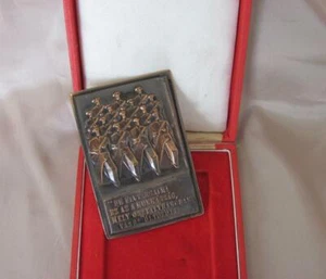 1950s VINTAGE HUNGARIAN MILITARY METAL PLAQUE IN ORIGINAL BOX - Picture 1 of 10