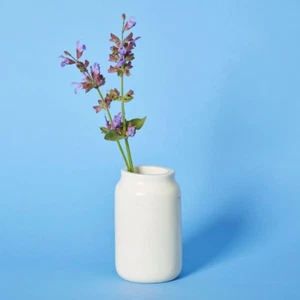 Kisii Stone Bottle White Bud Vase Succulent Pot - Picture 1 of 4
